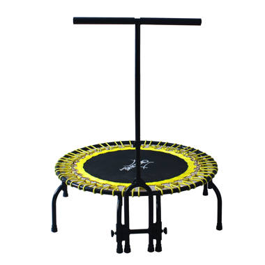 Sunny discount mini trampoline